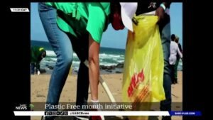 SA government is encouraged to ban single-use plastic
