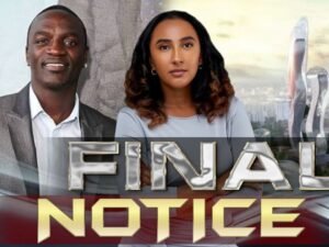 Akon Risks Losing Land for $6B Senegal City