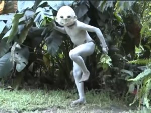 Unique and diverse tribal cultures)